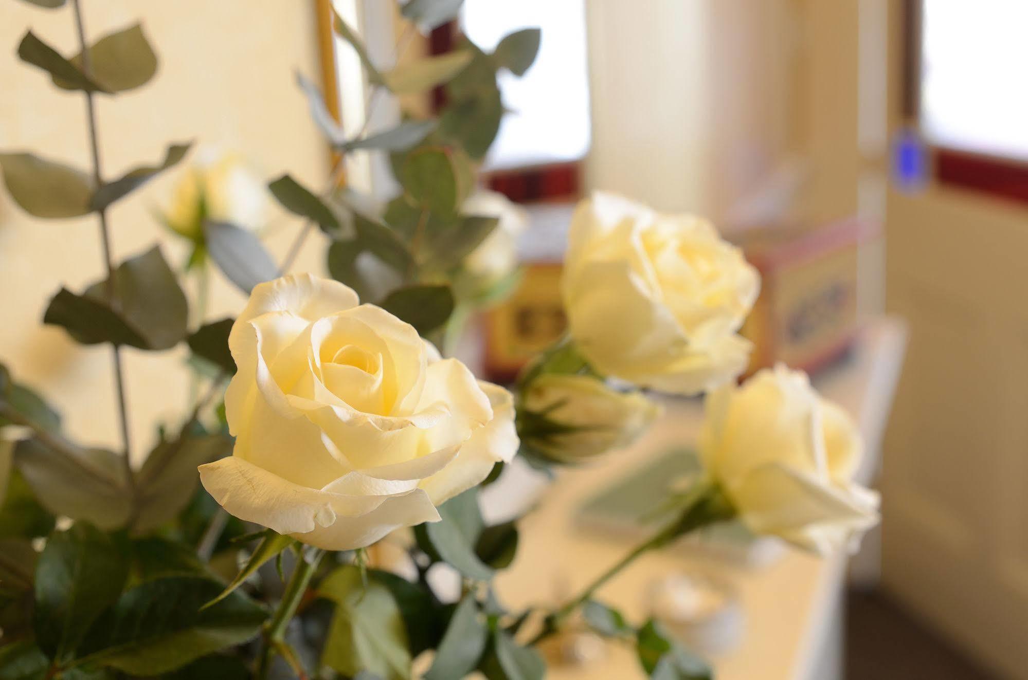 Crosby Bed & Breakfast Penrith Kültér fotó